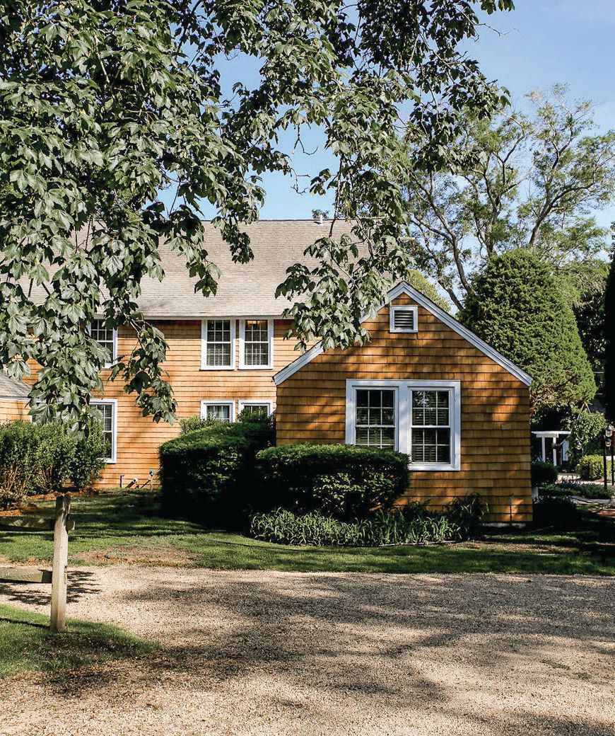 Roundtree, Amagansett has lush grounds that are ready for dogs to play and socialize on. PHOTO COURTESY OF THE BRAND