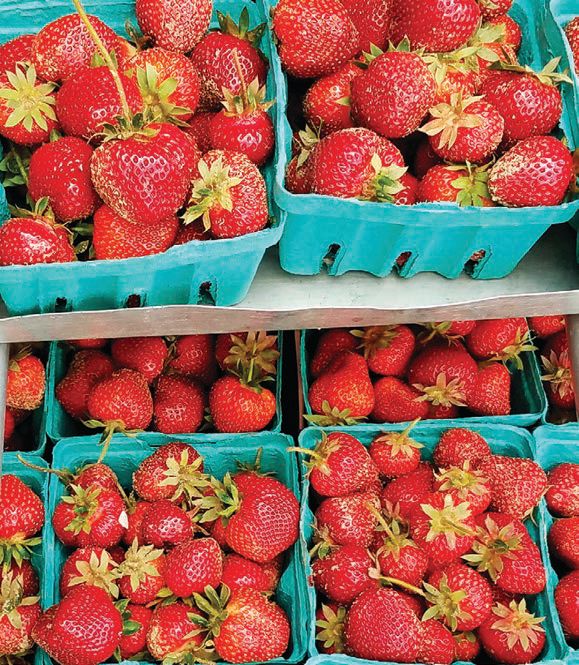 For fresh produce, “I go to all the local stores,” she shares. STRAWBERRIES PHOTO BY RAY WELLEN